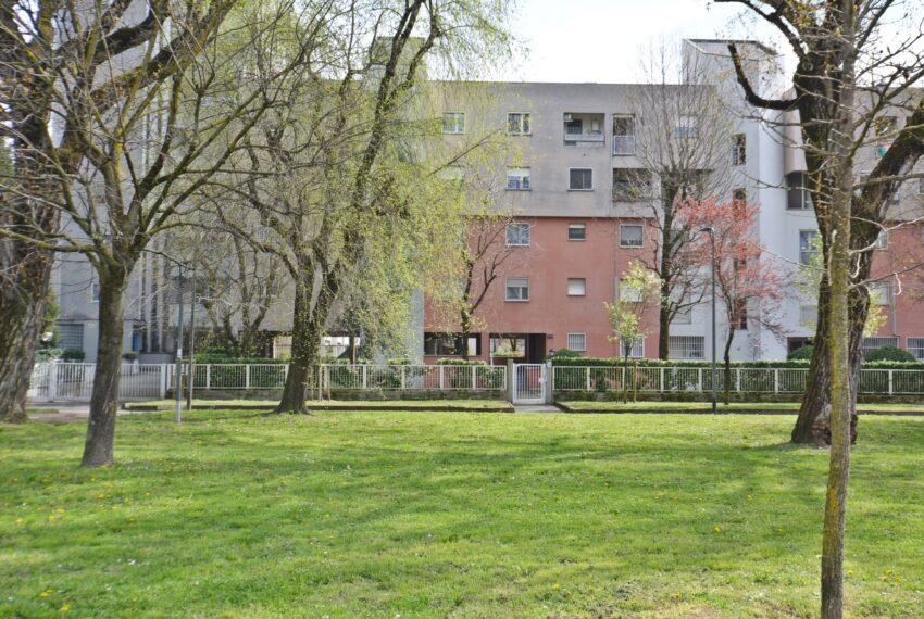 esterni (12)