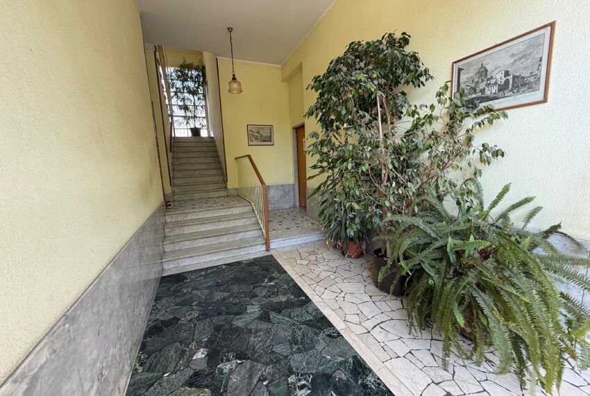 WhatsApp Image 2026-04-08 at 16.18.59 (1)