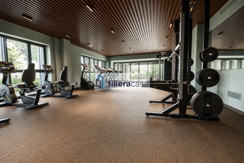 palestra