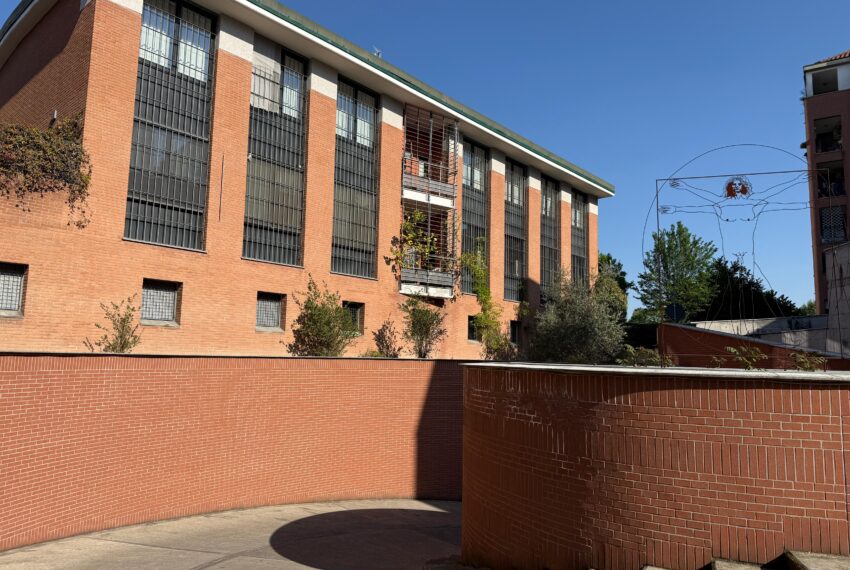 WhatsApp Image 2026-04-08 at 18.52.54