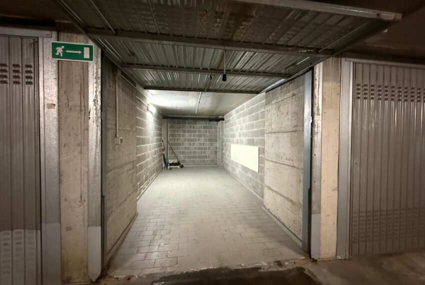 WhatsApp Image 2026-04-08 at 18.52.57