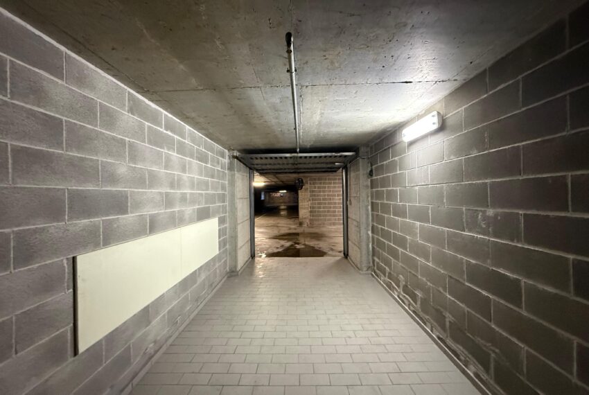 WhatsApp Image 2026-04-08 at 18.52.58 (1)