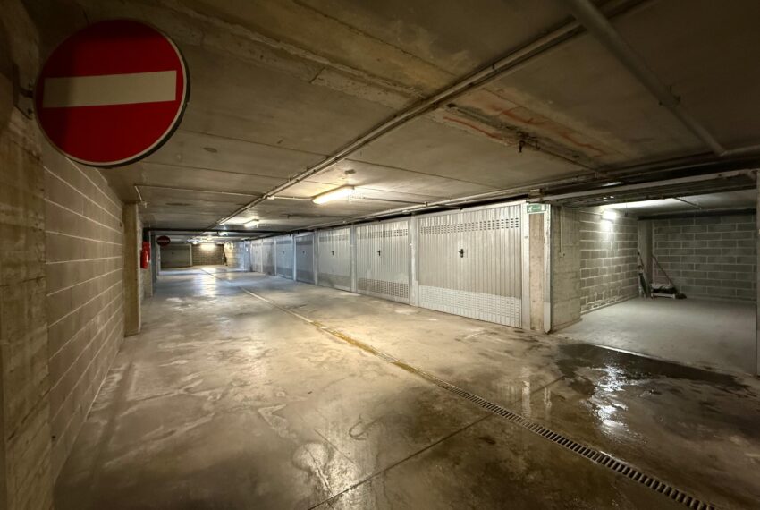 WhatsApp Image 2026-04-08 at 18.52.58