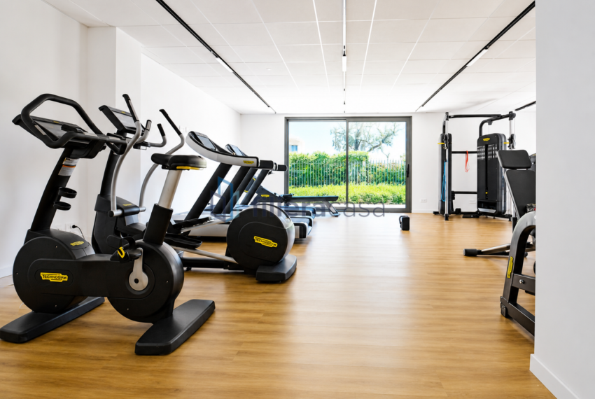 palestra