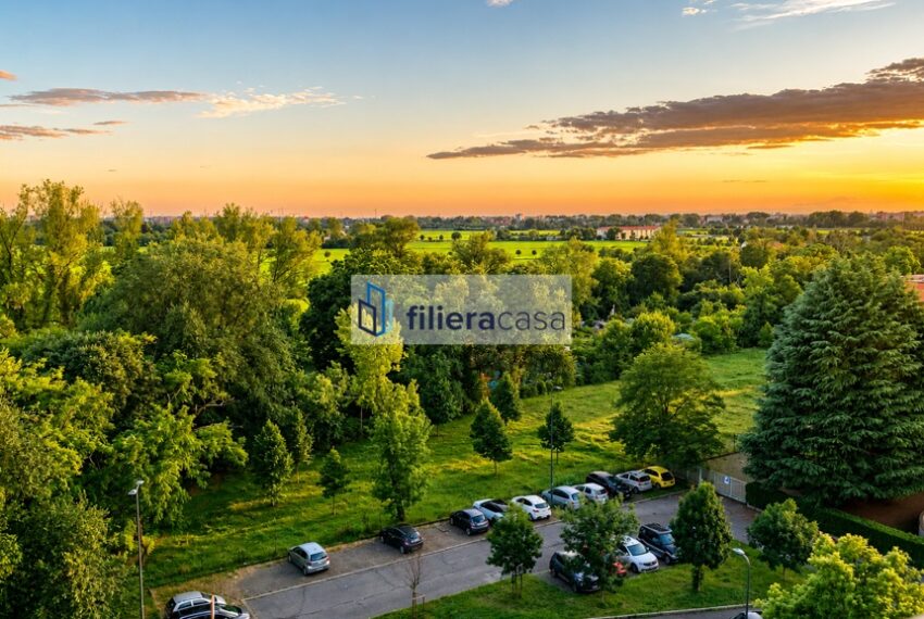 vista